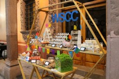 Welcome Reception